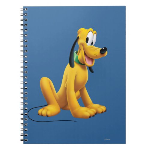 Pluto  Eyes to Side Notebook