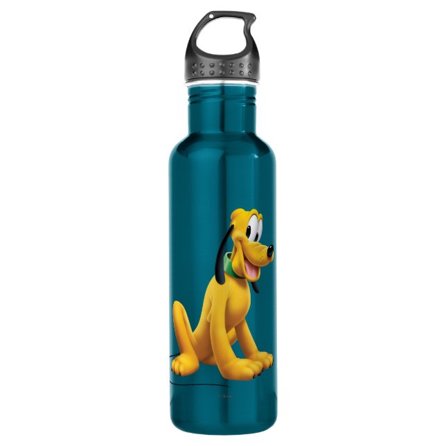 Pluto | Eyes to Side Stainless Steel Water Bottle (Front)