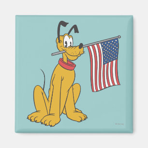 Pluto Freedom Magnet