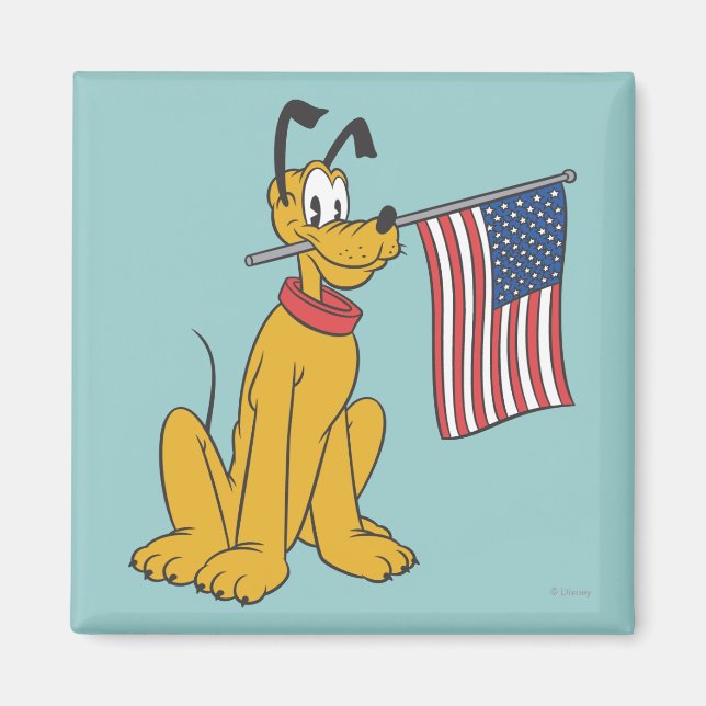 Pluto | Freedom Magnet (Front)