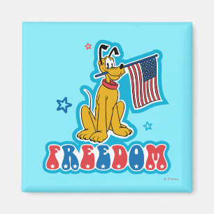 Pluto Freedom with Flag Magnet