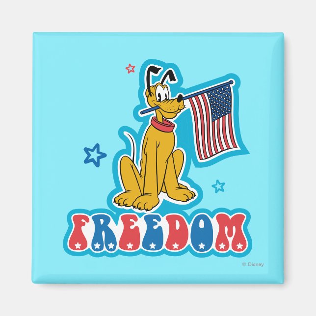 Pluto | Freedom with Flag Magnet (Front)