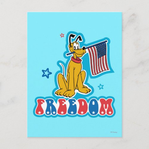 Pluto  Freedom with Flag Postcard