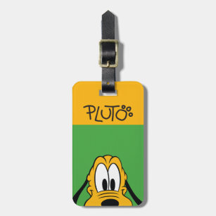 Pluto discount dog tag