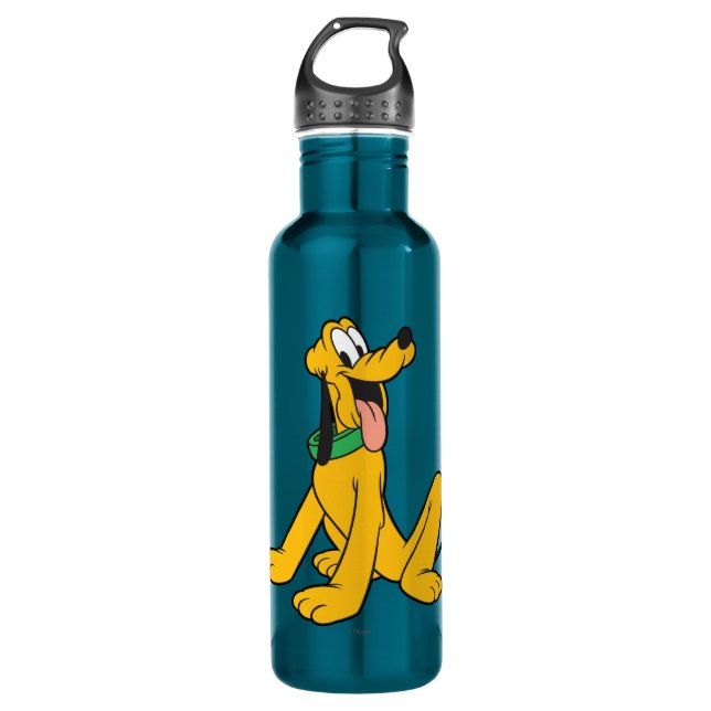 Pluto | Sitting Stainless Steel Water Bottle (Front)