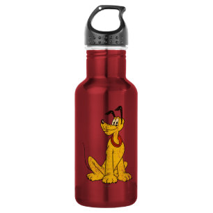 Pluto   Vintage & Distressed Stainless Steel Water Bottle