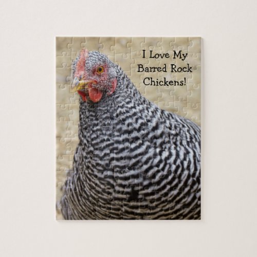 Plymouth Barred Rock Hen Photograph Jigsaw Puzzle