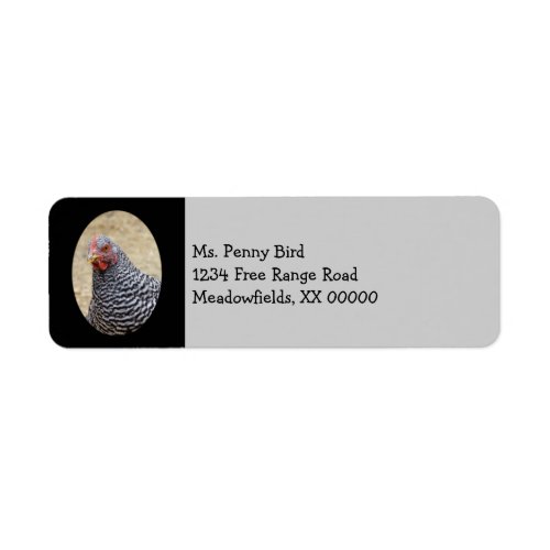 Plymouth Barred Rock Hen Photograph Label