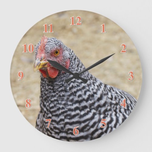Plymouth Barred Rock Hen Photograph Large Clock
