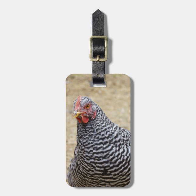 Plymouth Barred Rock Hen Photograph Luggage Tag (Front Vertical)