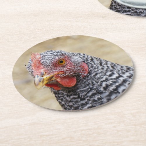 Plymouth Barred Rock Hen Photograph Round Paper Coaster