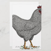 Plymouth Rock Chicken Drawing (Front/Back)