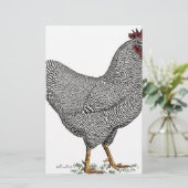 Plymouth Rock Chicken Drawing (Standing Front)