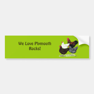 Plymouth Rock Quartet Bumper Sticker