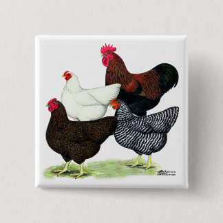 Plymouth Rock Quartet Pinback Button