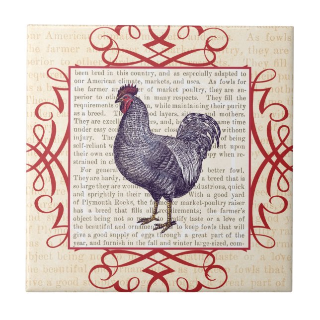 Plymouth Rock Rooster Vintage Poultry Farm Ceramic Tile (Front)