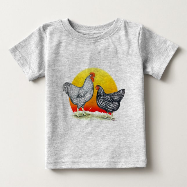 Plymouth Rocks:  Sunrise Baby T-Shirt (Front)