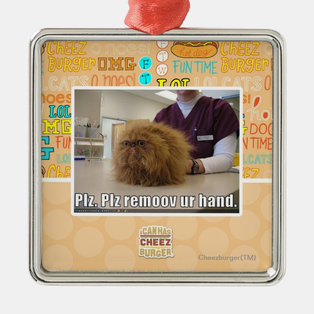 Plz remoov ur hand metal ornament (Front)