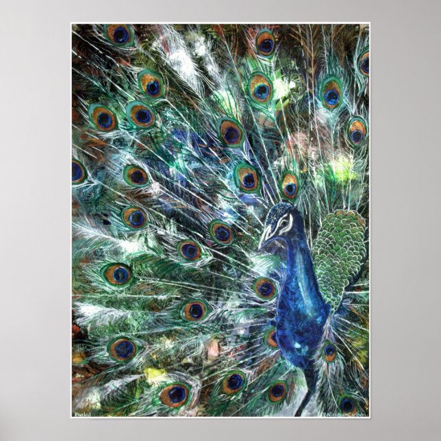 PMACarlson Jeweled Poster (Front)