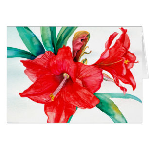 PMACarlson  Red  Amarylis Card