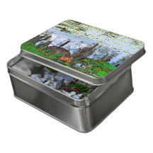 Pneumatophores Turtle Dragonfly Pond