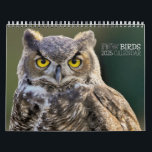 PNW BIRDS 2025 - PACIFIC NORTHWEST BIRDS   CALENDAR<br><div class="desc">PNW BIRDS 2025 CALENDAR The PNW BIRDS 2025 calendar embodies the breathtaking avian diversity of the Pacific Northwest. It showcases vibrant images of majestic birds, such as the bald eagle and the graceful great blue heron. Each month showcases the distinct beauty and elegance of birds in the Pacific Northwest. This...</div>