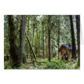 PNW Cabin (Front Horizontal)