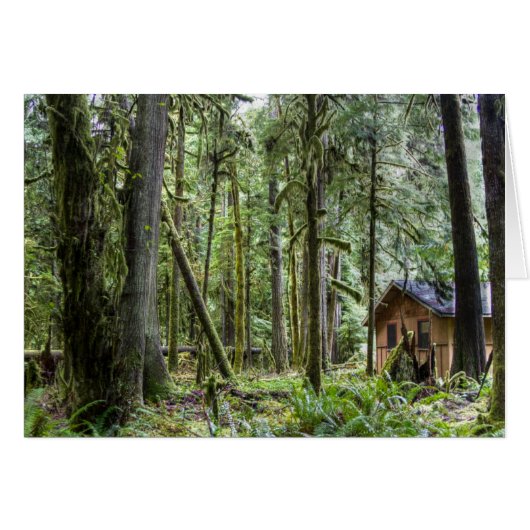 PNW Cabin Cards (Front Horizontal)