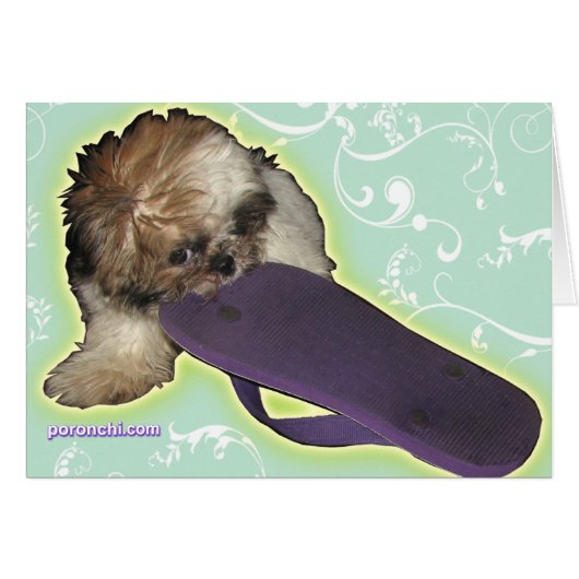 Pochi Puppy and Purple Flipflops (Front Horizontal)