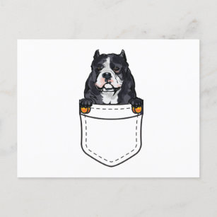Pocket Bully Dog Invitation Postcard