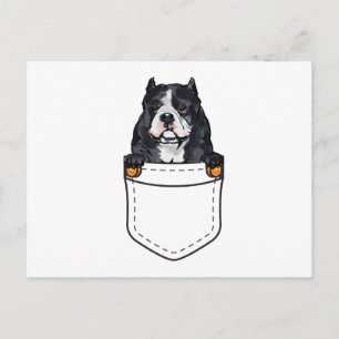 Pocket Bully Dog Invitation Postcard