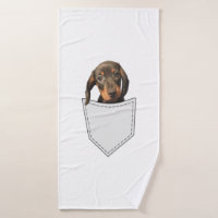 Pocket Dog Dachshund 