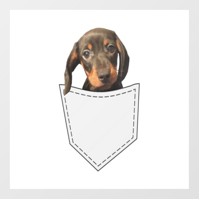Pocket Dog Dachshund  Floor Decals (Front)