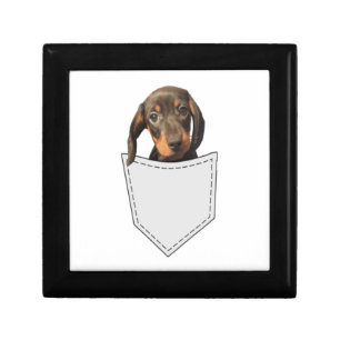 Pocket Dog Dachshund Gift Box