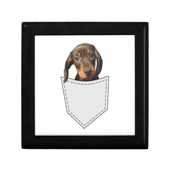 Pocket Dog Dachshund  Gift Box (Front)