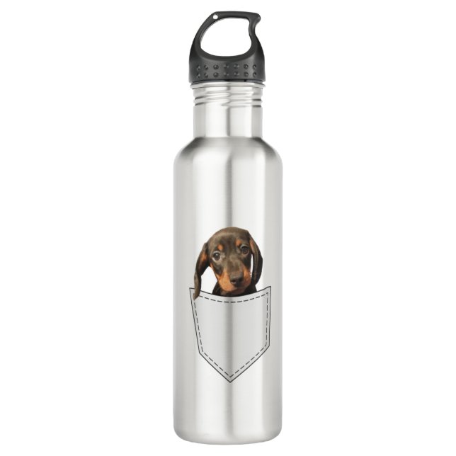 Pocket Dog Dachshund  Stainless Steel Water Bottle (Front)