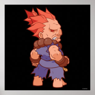 Pocket Fighter Akuma 2 Poster