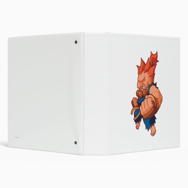Pocket Fighter Akuma Binder (Background)
