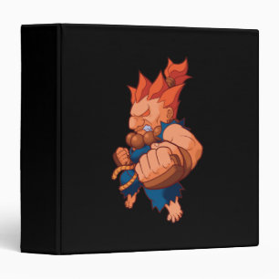 Pocket Fighter Akuma Binder
