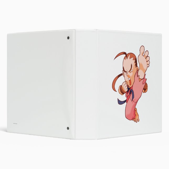Pocket Fighter Dan 2 3 Ring Binder (Background)