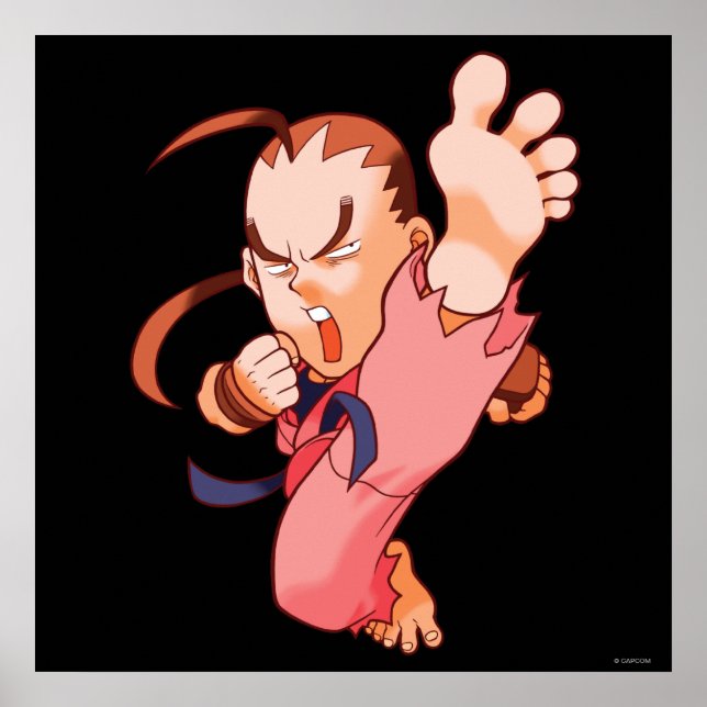 Pocket Fighter Dan 2 Poster (Front)