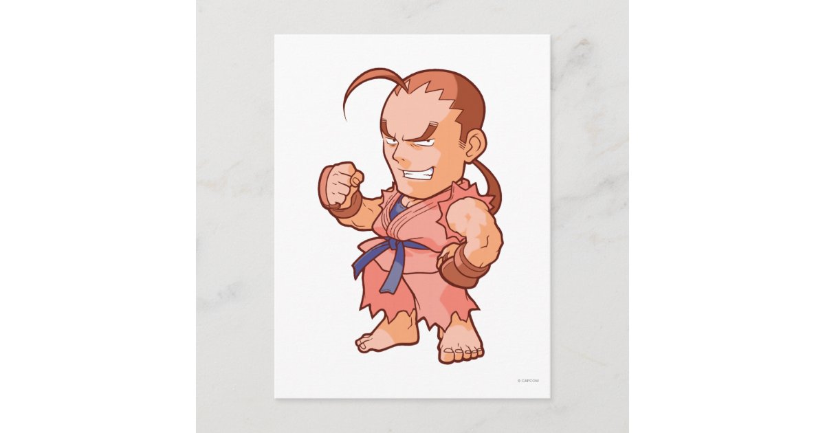 Pocket Fighter Dan Postcard Zazzle