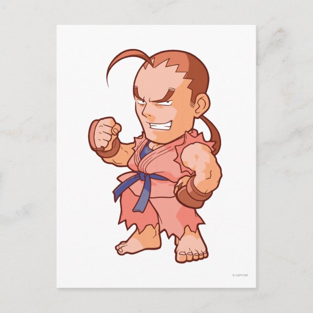 Pocket Fighter Dan Postcard (Front)