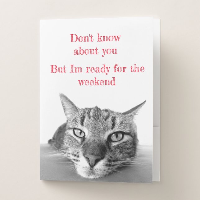 Pocket Folder-Funny Cat  Folder (Front)