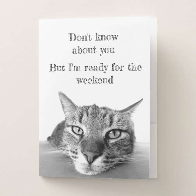 Pocket Folder-Funny Cat  Folder (Front)