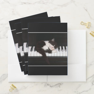 Pocket Folder Set-Kitten