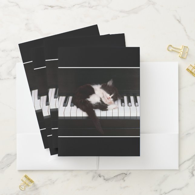 Pocket Folder Set-Kitten (In Situ)