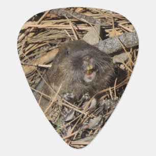 Pocket Gopher Guitar Pick