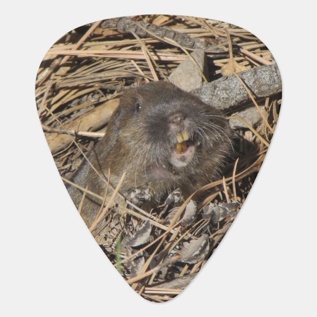 Pocket Gopher Guitar Pick (Front)