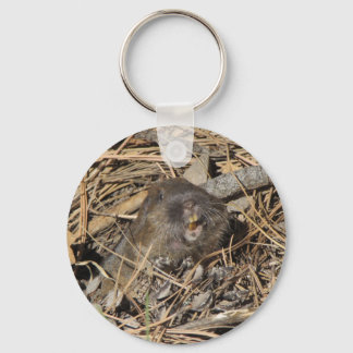Pocket Gopher Keychain
